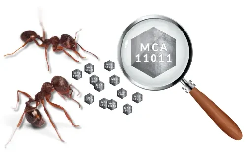 Reprezentácia bezpečnostného označenie mikrokódu